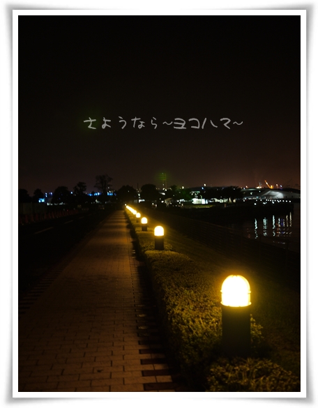 夜景１.jpg